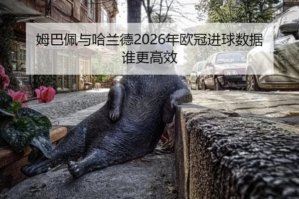 姆巴佩与哈兰德2026年欧冠进球数据谁更高效